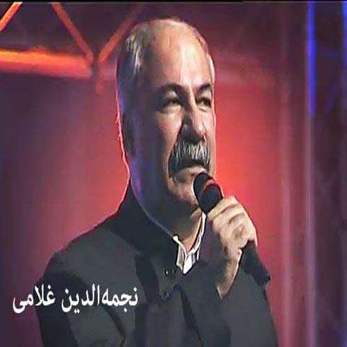 نجم الدین غلامی پیری میخانه